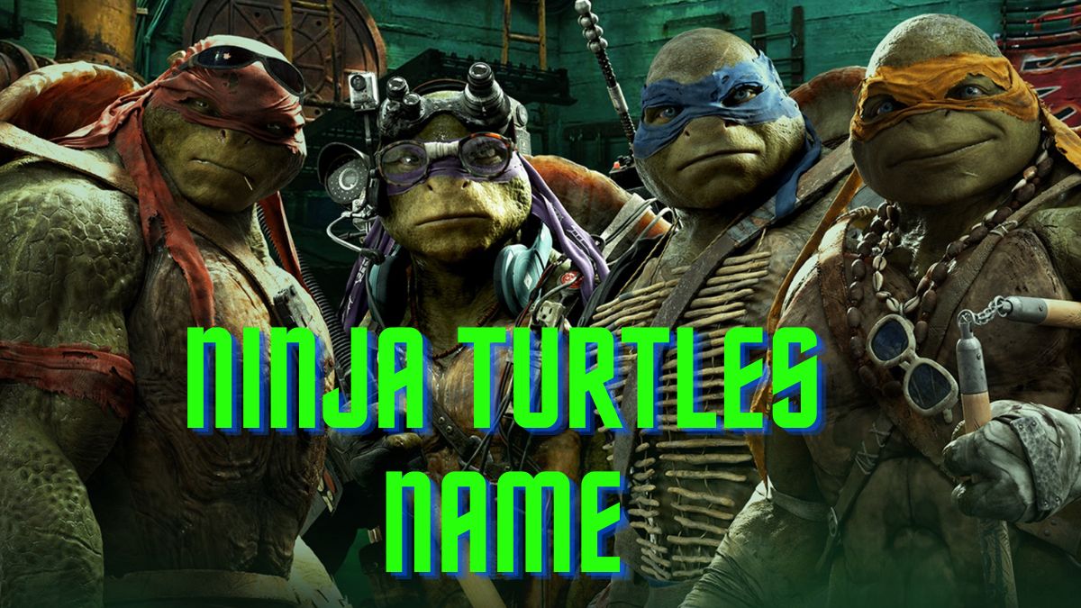 how old are Teenage Mutant Ninja Turtles