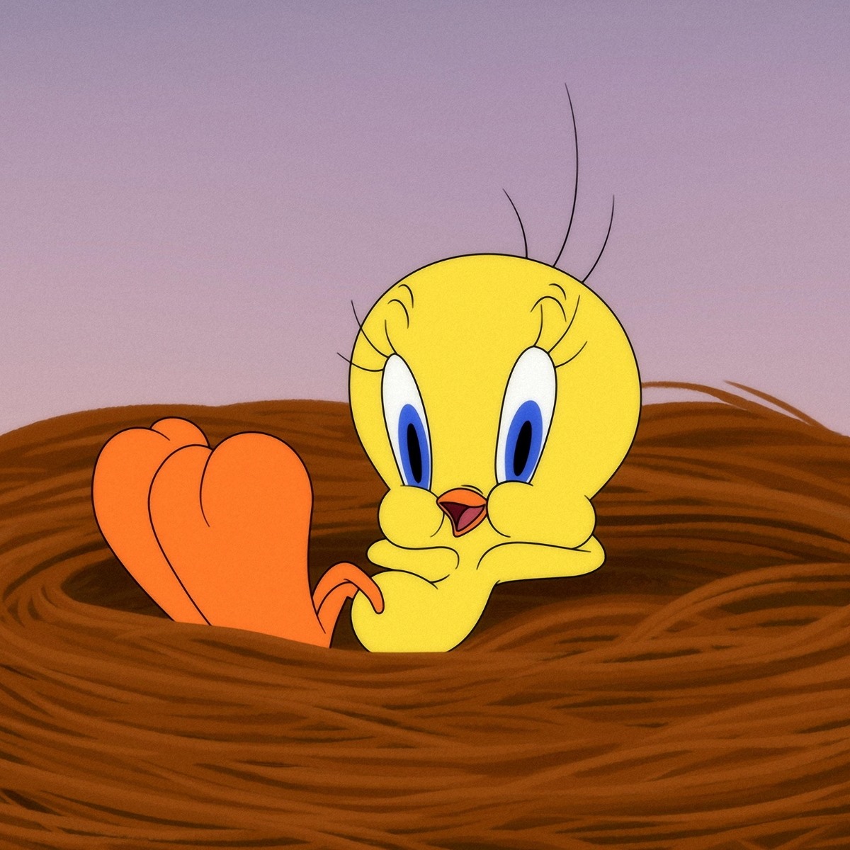 how old is Tweety Bird