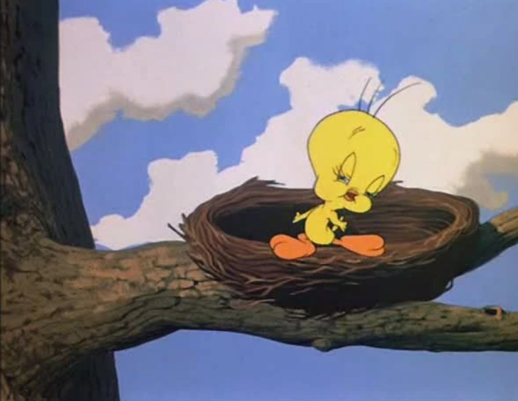 what type of bird is Tweety Bird